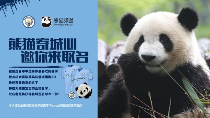 曼城认养的熊猫征名最后阶段，决定权在你手中！